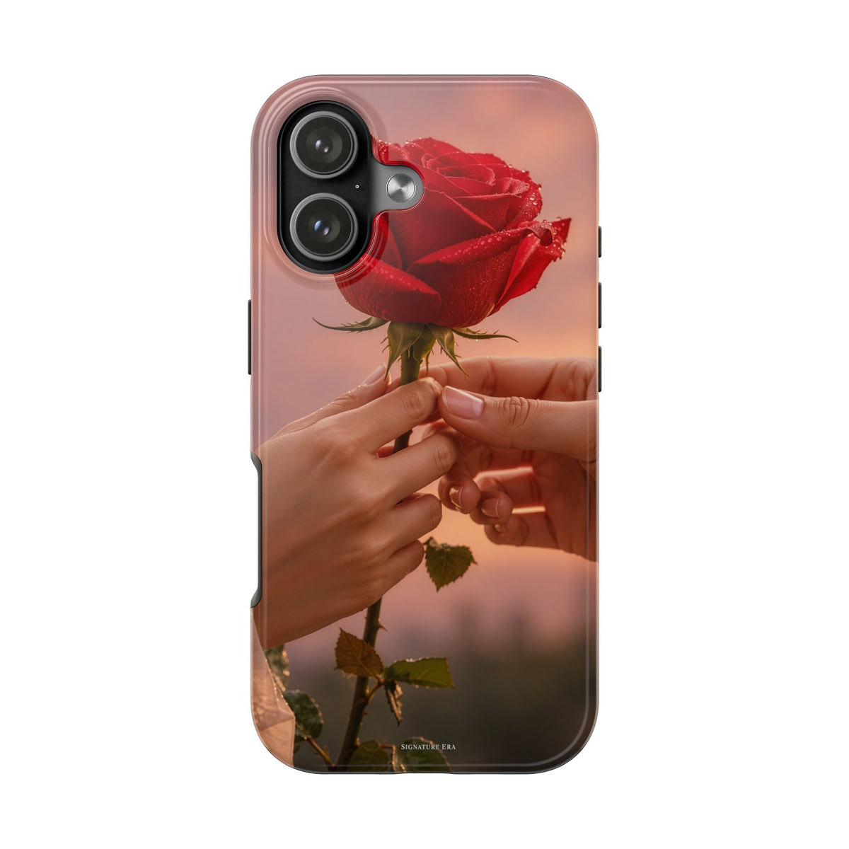 Given Case